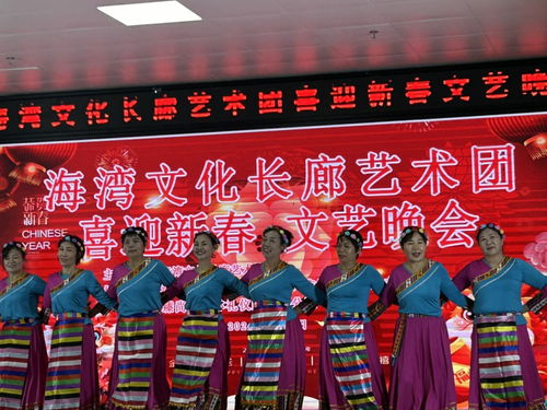 海灣文化長(zhǎng)廊藝術(shù)團(tuán)舉辦“喜迎新春”文藝晚會(huì)，共繪文化藝術(shù)交流新畫(huà)卷